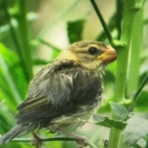 Meet your Posher, Jonathon